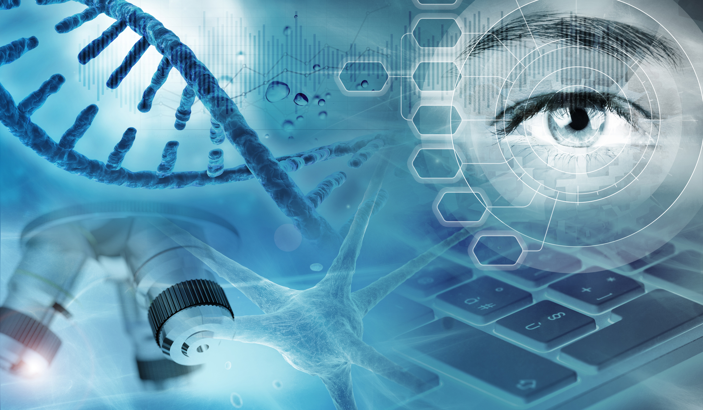 Wissenschaftlicher Beirat